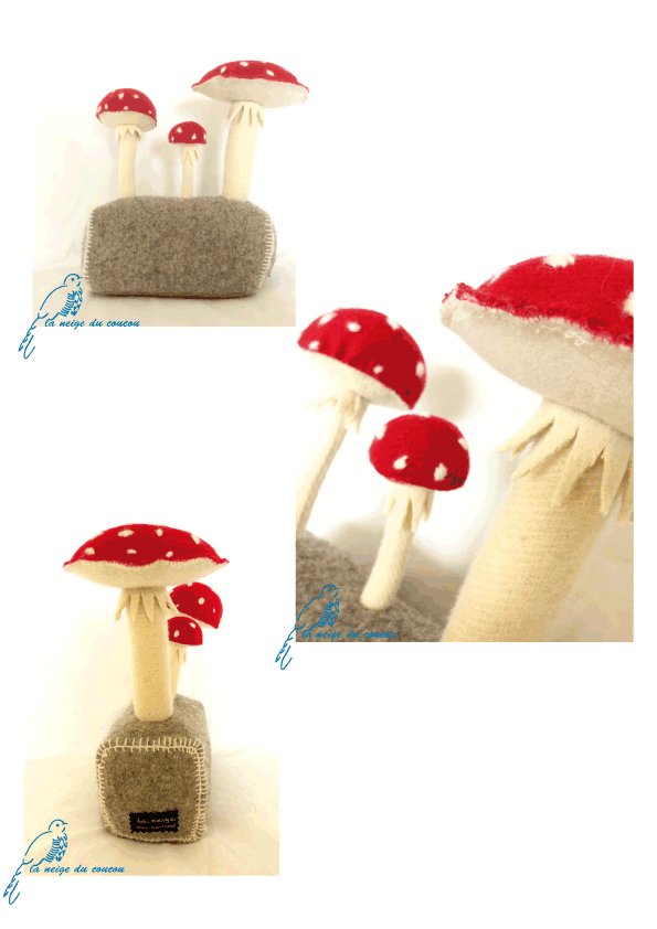 lndc-cale-portes-champignon-1
